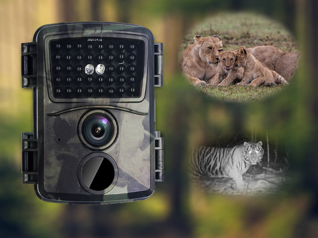 Compact 20MP 1080P Hunting Trail Camera 38 LED